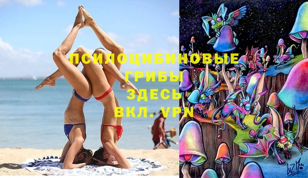 метамфетамин Алексин